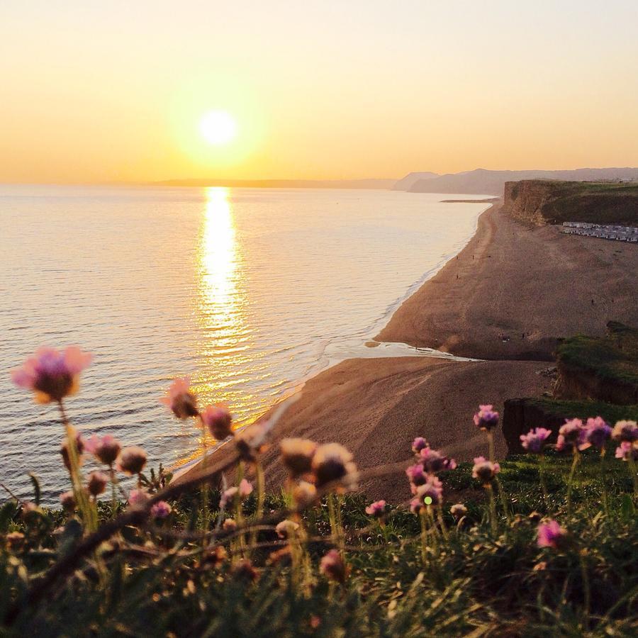 The Seaside Boarding House Hotell Burton Bradstock Eksteriør bilde